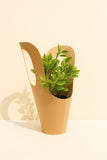 Kraft Plant Carrier – Eco-Friendly Gifting & Carry Solution