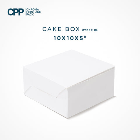 Cake Box - 10 x 10 x 5