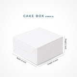 Cake Box - 10 x 10 x 5